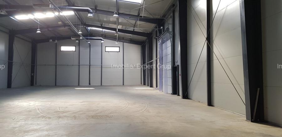 Spatiu de depozitare si productie Mogosoaia - 3
