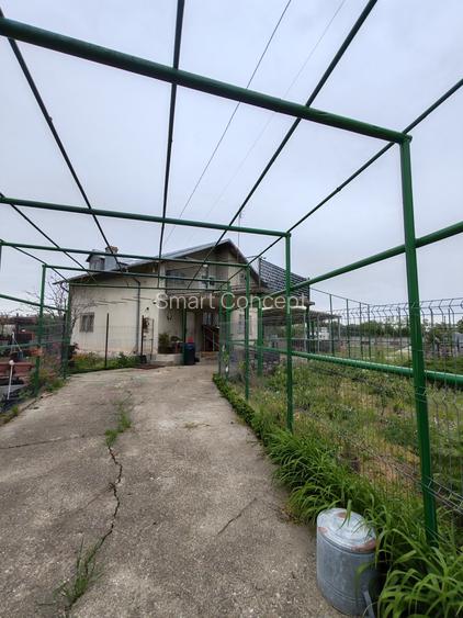 Casă + teren 4200 mp, vie, curent, fosa, anexă – Crevedia Mare, Giurgiu - 3