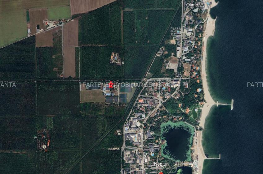 Neptun - Teren construibil in Padurea Comorava - 4