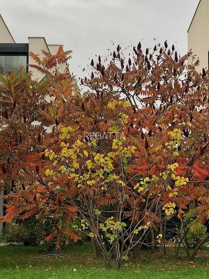 Beautiful villa - Baneasa area - 6rooms - 23