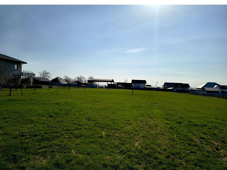 Teren Intravilan Salcea | 72.000 MP | Parcelabil | Investiție Majoră