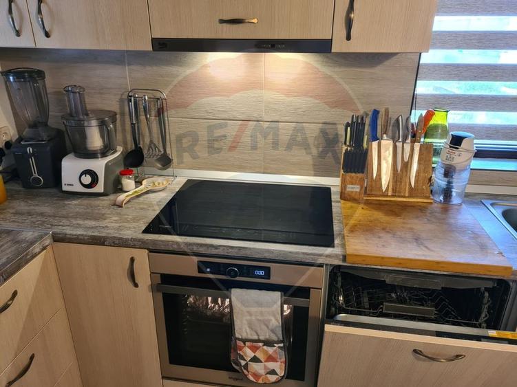 Vanzare casa 4 camere-microferma, cu panouri fotovoltaice