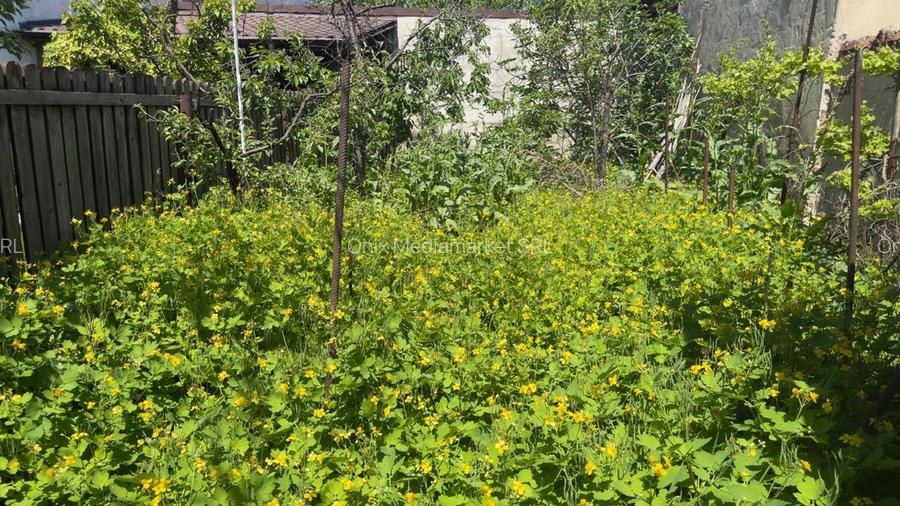 Casa 5 camere, caramida, garaj, pivnita — Cantacuzino, Ploiesti - 22