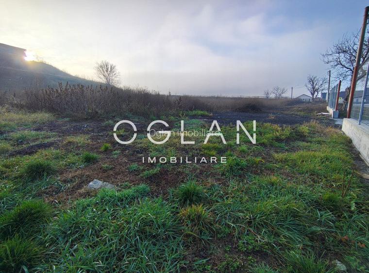 Teren Imprejmuit, la sosea (DN14)- SURA MARE - 7