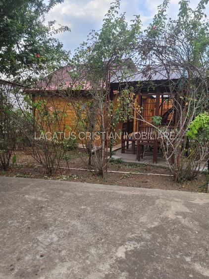 CASA SUPERBA 4 CAMERE ZONA VALU LUI TRAIAN 933MP - 30