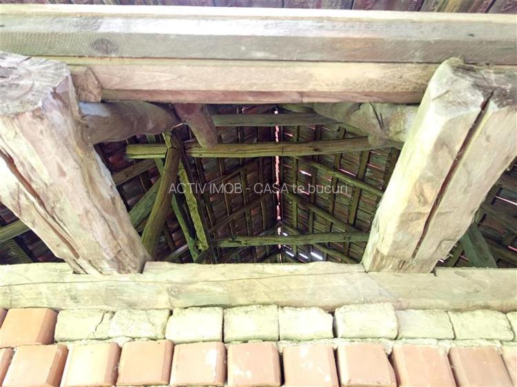 Borlovenii Noi, Teren Drept, 16000mp, la Limita Localitatii - 23