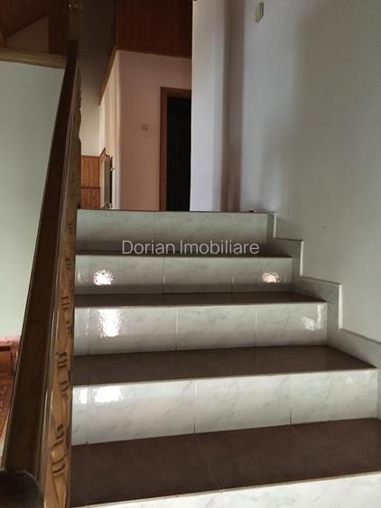 OVIDIU PARTEA CU GHIOLUL vila - 9