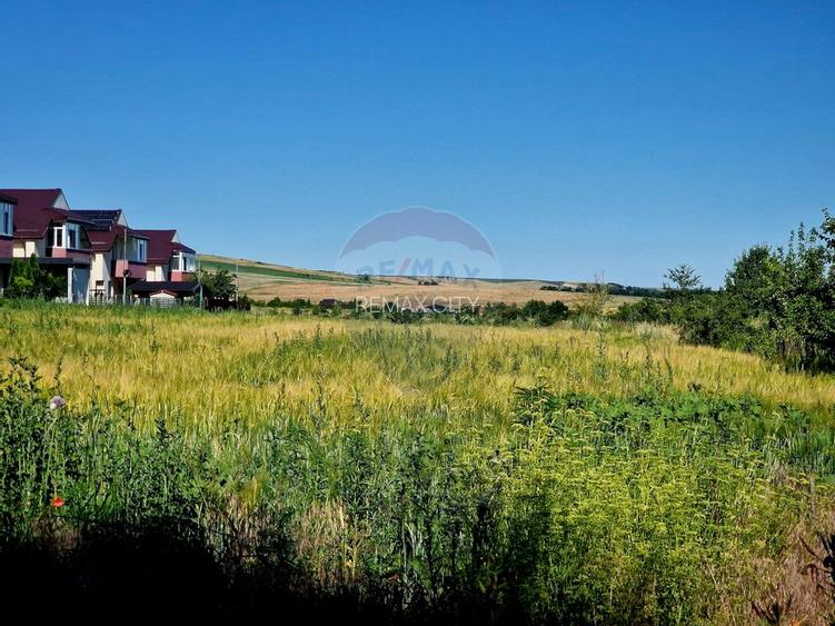 Teren intravilan Piatra Neamt - 4