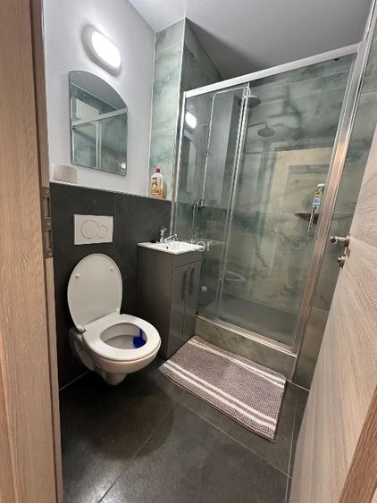 Apartament 3 camere Podu Rosu  - 11