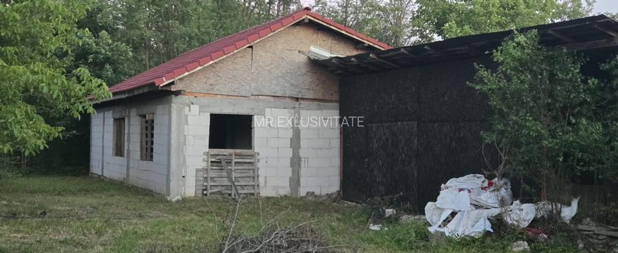 Casă cu 7.769 mp teren și pădure | Budieni | 53.000€ - 10