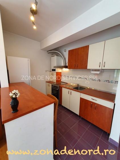 Bucureștii-Noi – Dămăroaia | Metrou Parc Bazilescu | Centrală | Parcare proprie - 11