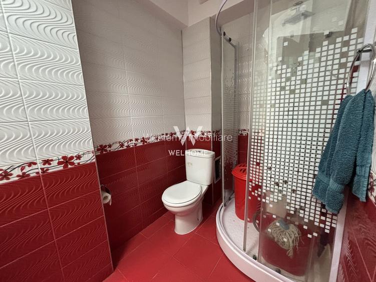 Apartament 3 camere mobilat-utilat cu GARAJ - Doamna Stanca - 13