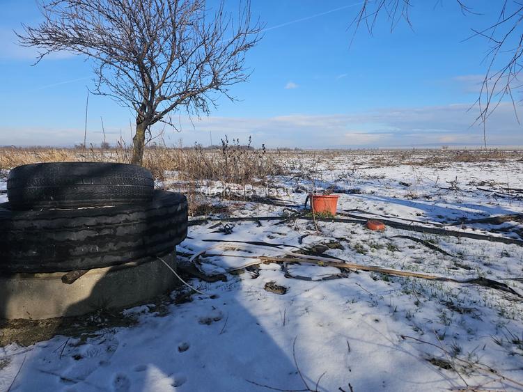 Ideal pentru investitie - 3