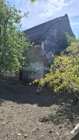 Casa pentru renovare  in Nadlac cu teren 1472mp - 12