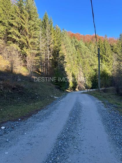 Teren 2.882 mp – oportunitate investitie - Cheile Dambovicioarei - 18