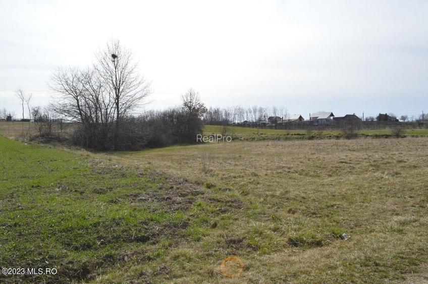 Suseni - Teren intravilan rezidential, suprafata 4000 mp! - 4