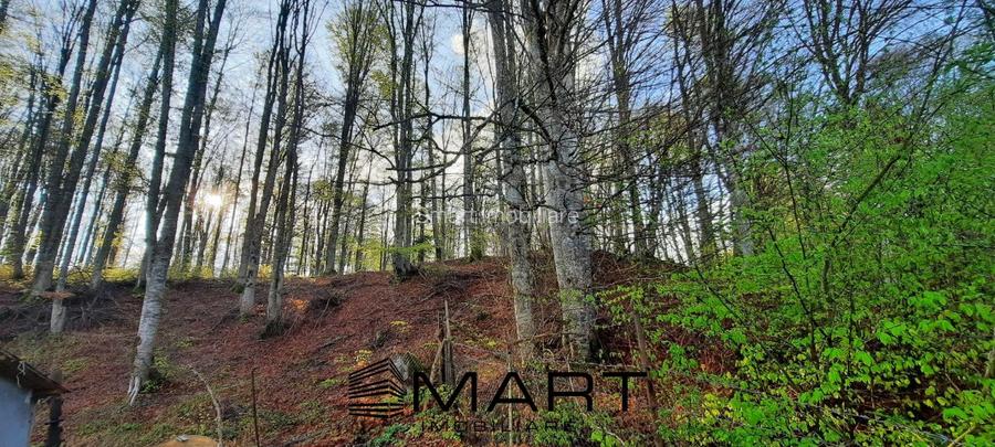 Cabana 4 camere zona Valea Avrigului - 20