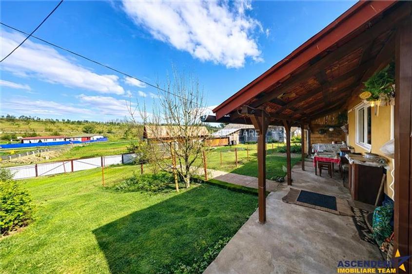 TUR 3D! Locuinta traditionala + 4300 mp teren,pomicultura,anexe:oaza de liniste, - 10