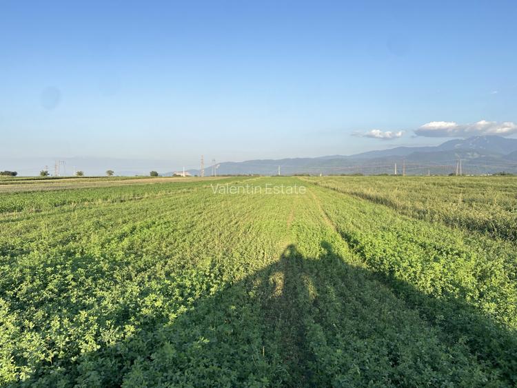 Teren extravilan de vanzare -5750 mp- deschidere la DJ 112B- Intrarea in Vulcan - 2