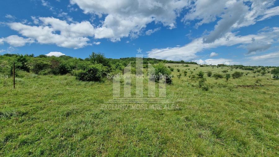 Teren extravilan | De vanzare | 1400 mp | 13 ml deschidere | Paclisa - 7