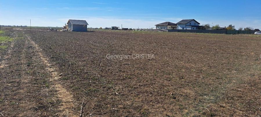 Vand teren Adunatii Copaceni - 3