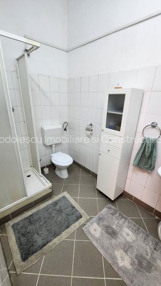 Spatiu industrial productie/ depozitare, Timiș - 25