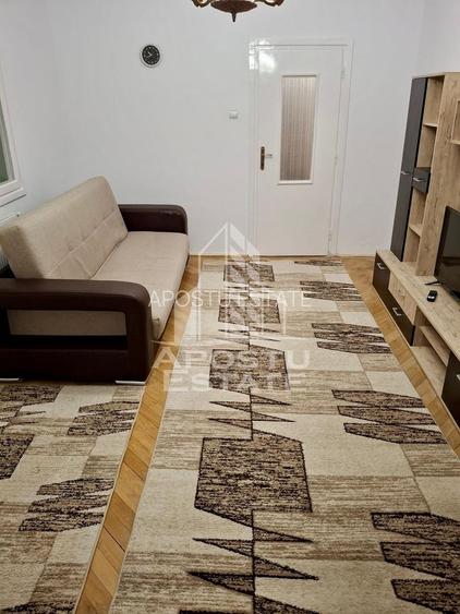 Apartament cu 2 camere, recent renovat, zona Circumvalatiunii - 4