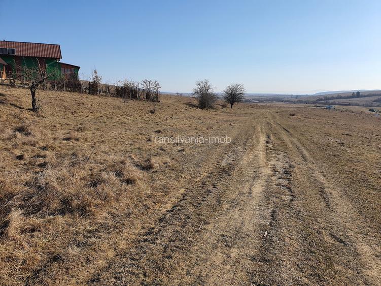 Teren Codlea – Vladeni zona de case cu Puz - 4