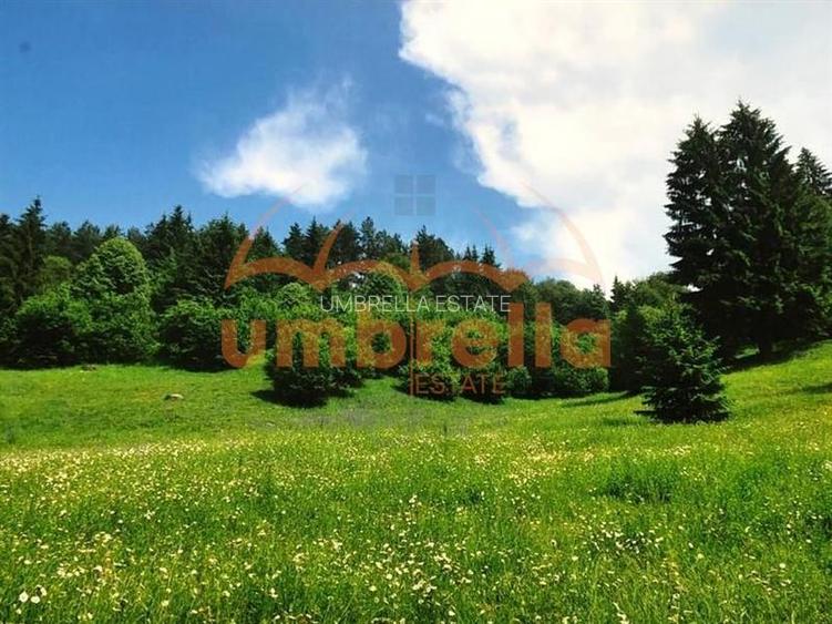 TEREN DE VANZARE 34.201m²/20€ m² IN VARSAG HARGHITA - 13