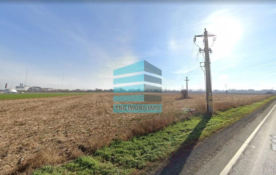 Teren 50.000 Mp, Brasov-Halciu - 3
