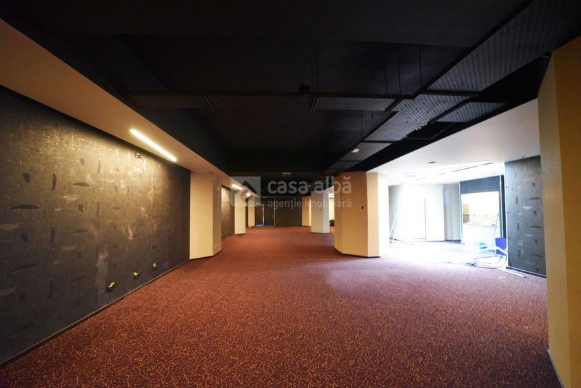 Alexandru cel Bun, spatiu excelent pozitionat, S+P, 800mp construiti