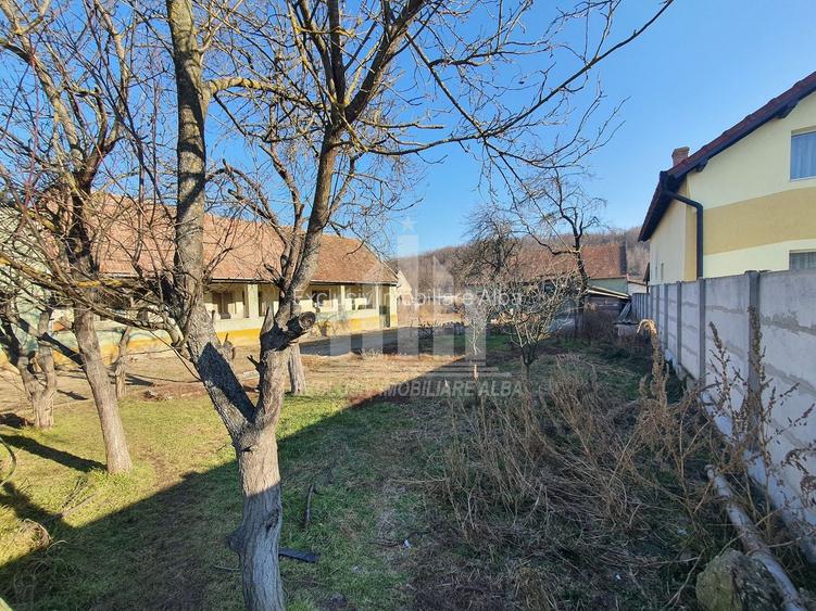 Teren | 3500mp | Constructie 100mp pe teren | 24ml deschidere | Ciugud - 2