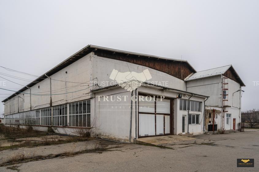 Teren 28.788m + Hale industriale + Sediu Firma  - 25