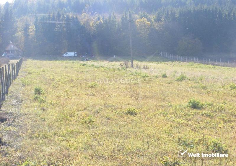 Teren 10800 mp, front 54 m in apropierea  Urbano Shopping & Living Gilau - 3