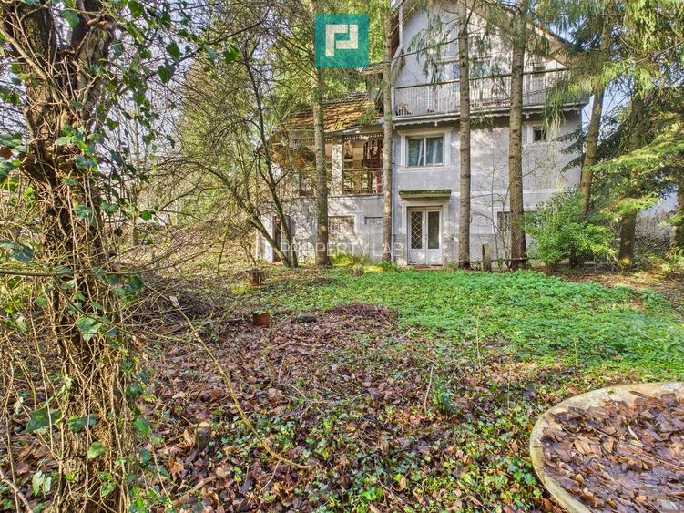 Casă P+E+M cu teren 8163 mp – Roșia Nouă (Petriș) - 3