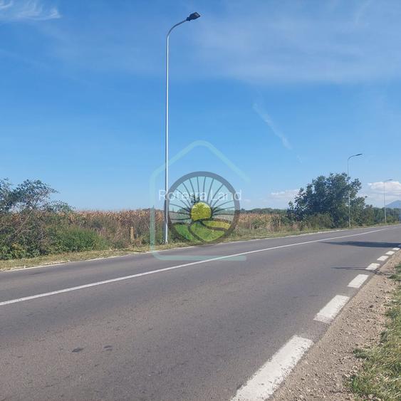 TEREN STUPINI BRASOV - 12