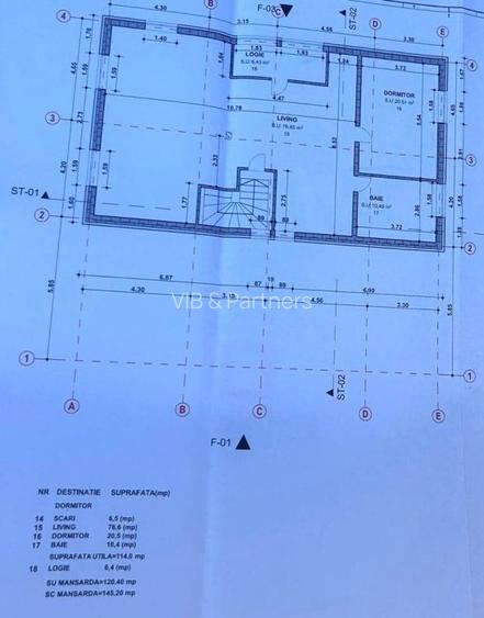 Vanzare Vila Rustica, Suprafata Generoasa, Frumusani - 14