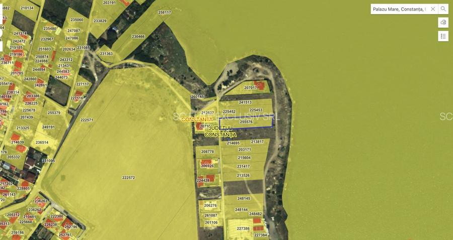 Palazu Mare - Primul lot la lac - Teren 2600 mp cu deschidere de 36,98 m - 10