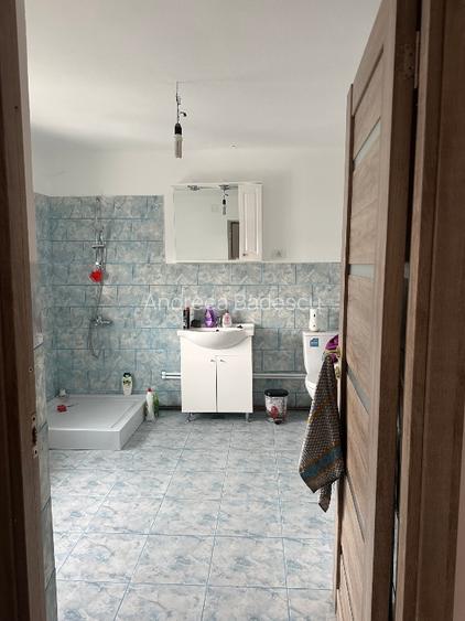 Casă spațioasă în Gura Văii – la doar 10 km de Dr. Tr. Severin - 7