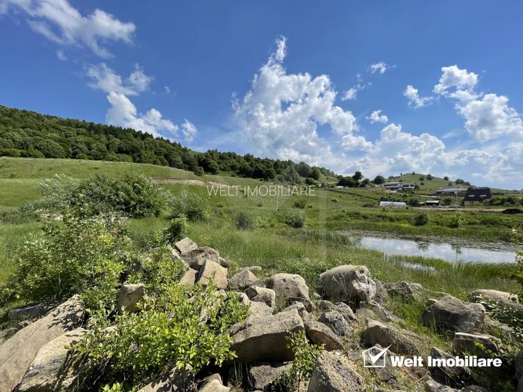 Teren superb in Salicea, 3695 mp, PUZ, drum, apa si curent, zona “La Mesteceni” - 5