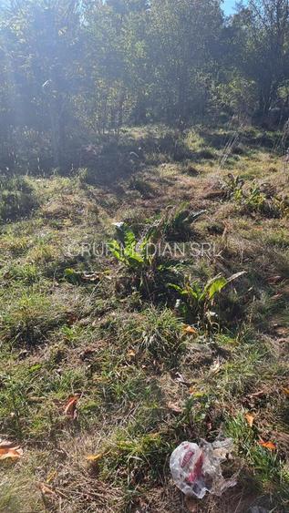 Teren intravilan 1781 mp în Băile Olănești – zonă turistică - 4