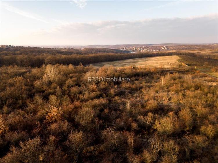 Reco Teren intravilan in Saldabagiu de munte 4333MP - 11