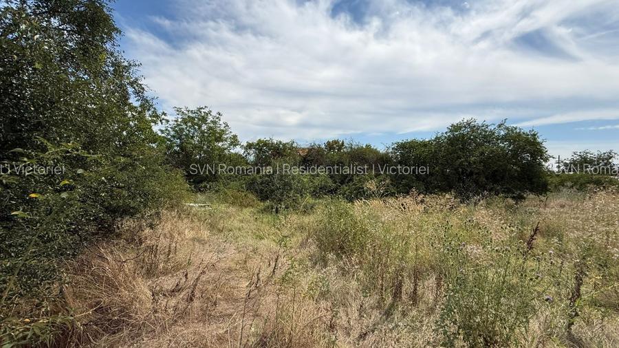 REL4001178 Teren I De Vanzare I Domnesti - 3