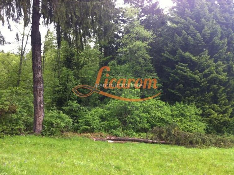 Teren intravilan Cotul Donului,pretabil Hotel/pensiune. - 8