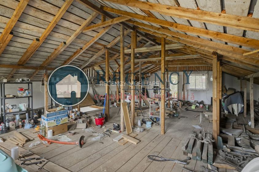 Casa P+M in Ciolpani - Snagov, oaza de liniste si verdeata - 21