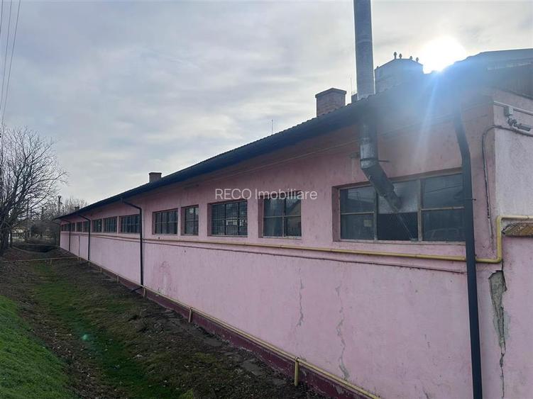 Hala industriala de vanzare in Marghita – 930 mp utili, teren 2470 mp, toate uti - 10