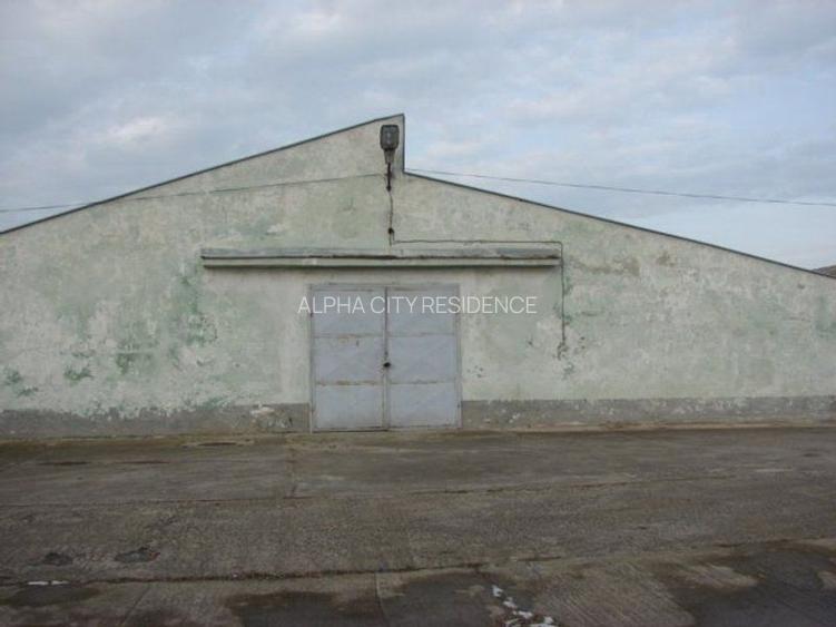 Hala pt depozitare 1200mp in Remetea Mare! Acces TIR - la sosea - 3