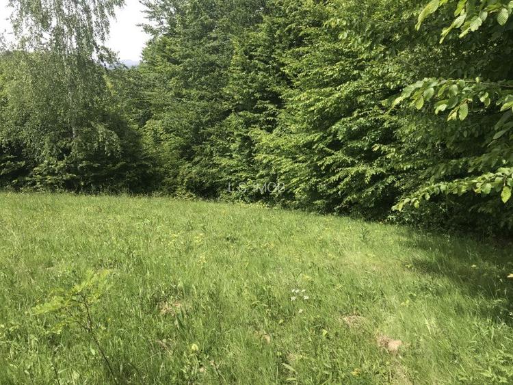 Vand teren in Albestii de Muscel faneata-pasune, partial impadurit - 2