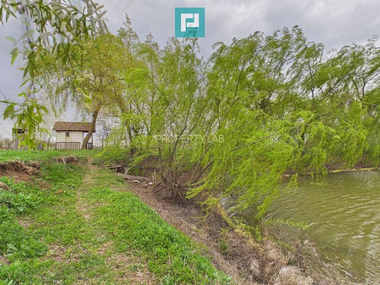 Teren 1 ha cu baltă populată – Alioș (Mașloc) - 6