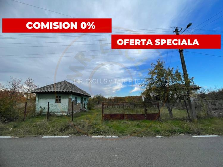 Teren intravilan 6975 mp front stradal 47.70 m in Mosoaia Arges si padure bonus - 3